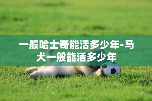 一般哈士奇能活多少年-馬犬一般能活多少年