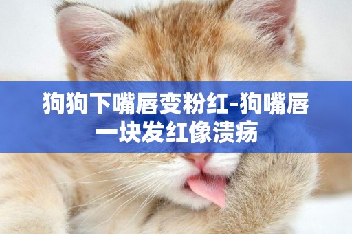 狗狗下嘴唇變粉紅-狗嘴唇一塊發紅像潰瘍