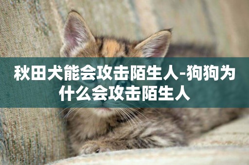 秋田犬能會攻擊陌生人-狗狗為什么會攻擊陌生人