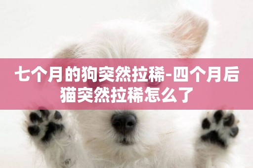 七個月的狗突然拉稀-四個月后貓突然拉稀怎么了
