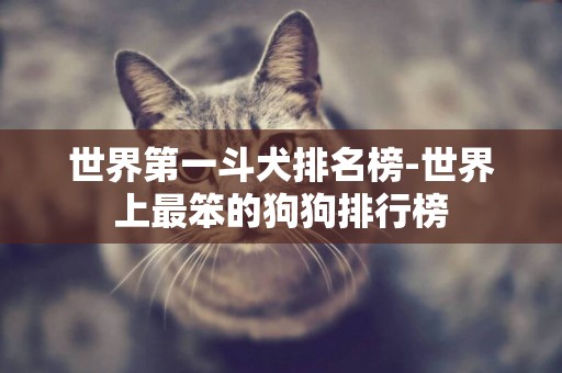 世界第一斗犬排名榜-世界上最笨的狗狗排行榜