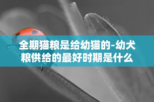 全期貓糧是給幼貓的-幼犬糧供給的最好時期是什么