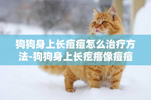 狗狗身上長痘痘怎么治療方法-狗狗身上長疙瘩像痘痘