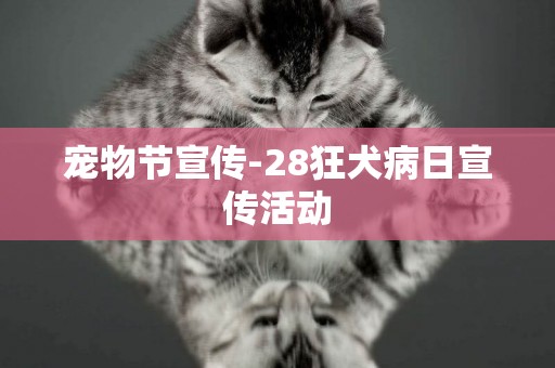 寵物節宣傳-28狂犬病日宣傳活動