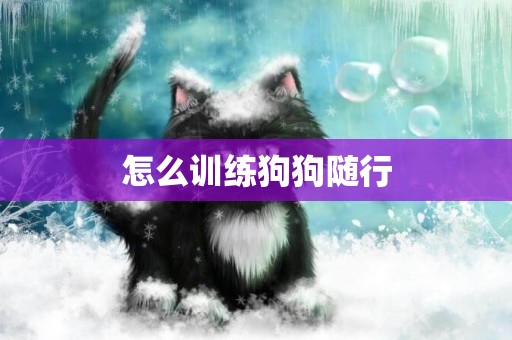 怎么訓練狗狗隨行