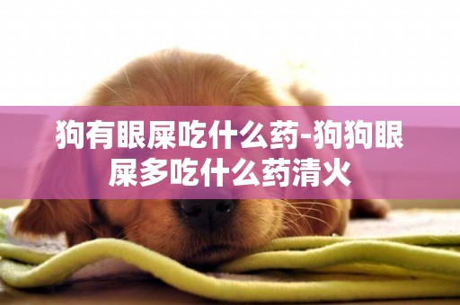 狗有眼屎吃什么藥-狗狗眼屎多吃什么藥清火