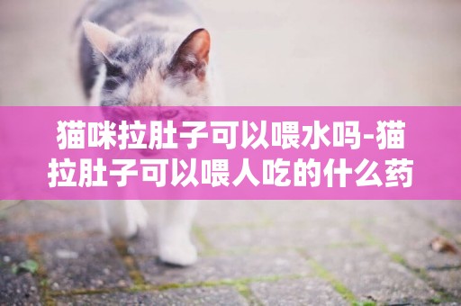 貓咪拉肚子可以喂水嗎-貓拉肚子可以喂人吃的什么藥