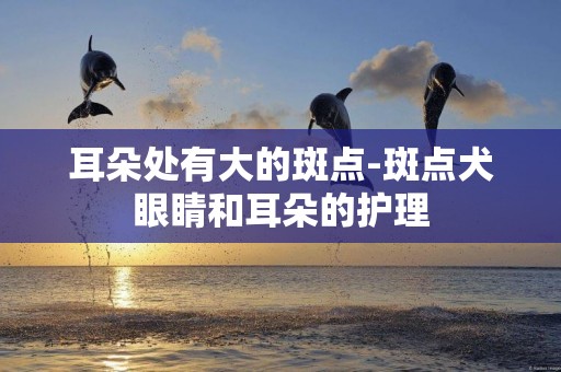 耳朵處有大的斑點-斑點犬眼睛和耳朵的護理