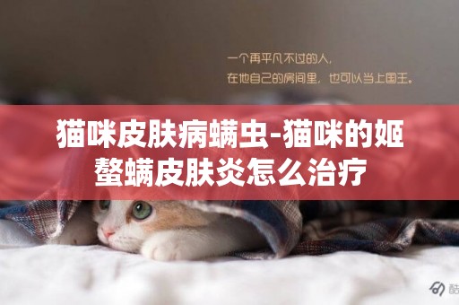 貓咪皮膚病螨蟲-貓咪的姬螯螨皮膚炎怎么治療