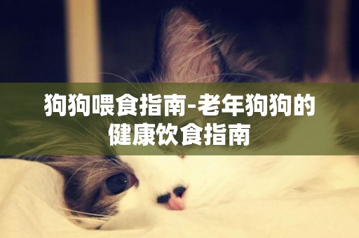 狗狗喂食指南-老年狗狗的健康飲食指南