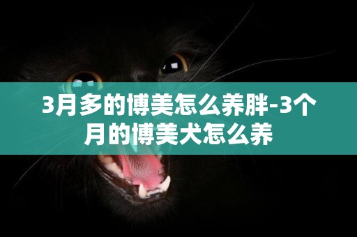 3月多的博美怎么養胖-3個月的博美犬怎么養