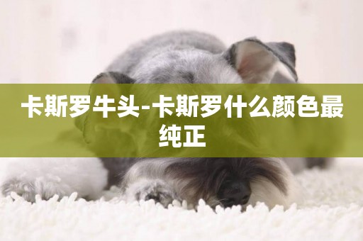 卡斯羅牛頭-卡斯羅什么顏色最純正