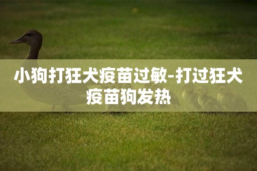 小狗打狂犬疫苗過敏-打過狂犬疫苗狗發熱