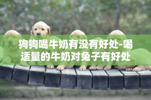 狗狗喝牛奶有沒有好處-喝適量的牛奶對兔子有好處