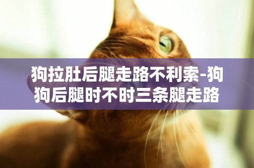 狗拉肚后腿走路不利索-狗狗后腿時不時三條腿走路