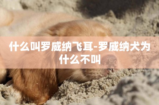 什么叫羅威納飛耳-羅威納犬為什么不叫