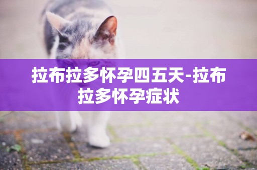 拉布拉多懷孕四五天-拉布拉多懷孕癥狀