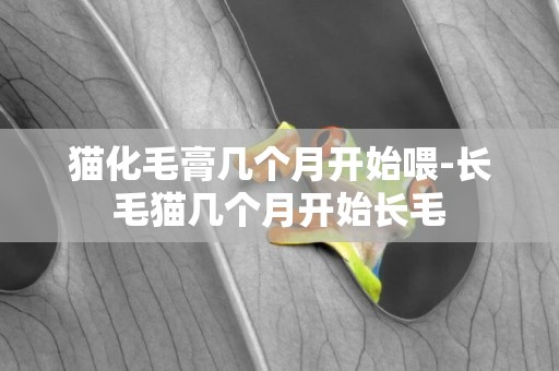 貓化毛膏幾個月開始喂-長毛貓幾個月開始長毛