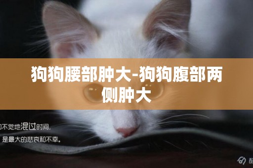 狗狗腰部腫大-狗狗腹部兩側腫大