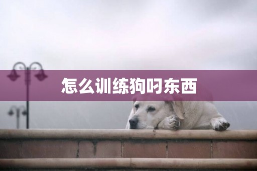怎么訓練狗叼東西