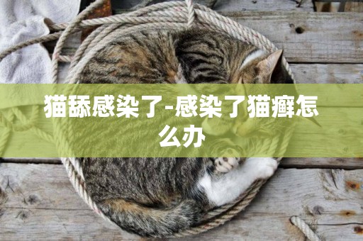 貓舔感染了-感染了貓癬怎么辦