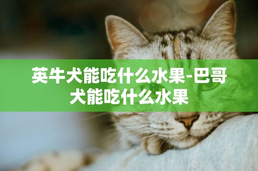 英牛犬能吃什么水果-巴哥犬能吃什么水果