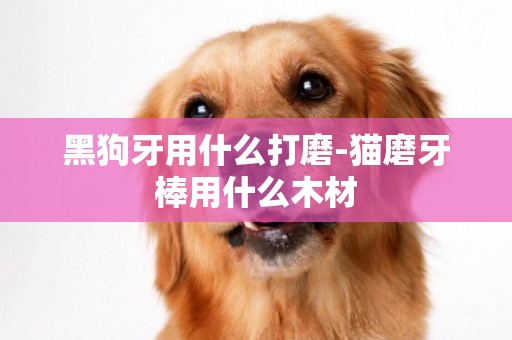 黑狗牙用什么打磨-貓磨牙棒用什么木材