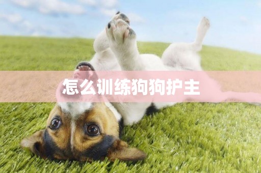 怎么訓練狗狗護主