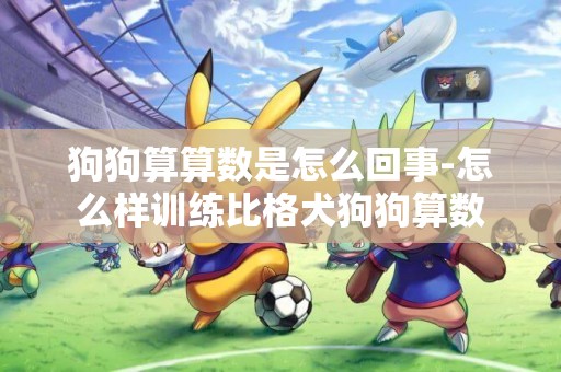 狗狗算算數是怎么回事-怎么樣訓練比格犬狗狗算數