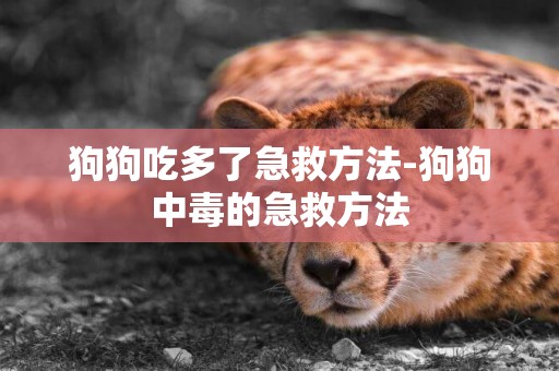 狗狗吃多了急救方法-狗狗中毒的急救方法
