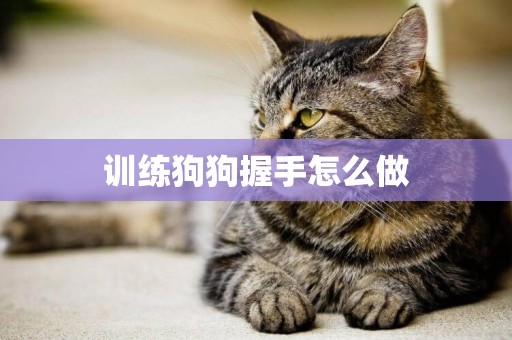 訓練狗狗握手怎么做