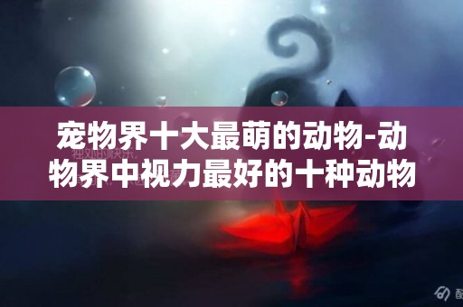 寵物界十大最萌的動物-動物界中視力最好的十種動物