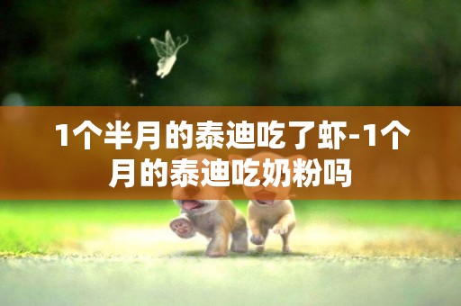 1個半月的泰迪吃了蝦-1個月的泰迪吃奶粉嗎