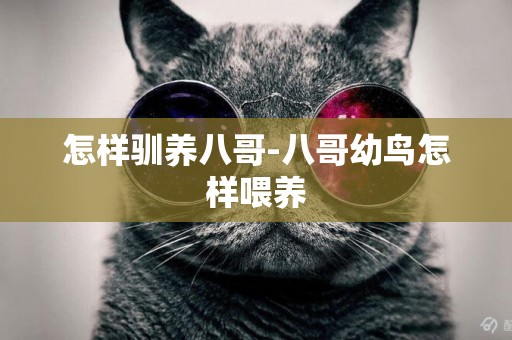 怎樣馴養八哥-八哥幼鳥怎樣喂養