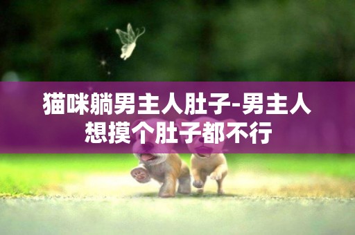 貓咪躺男主人肚子-男主人想摸個肚子都不行