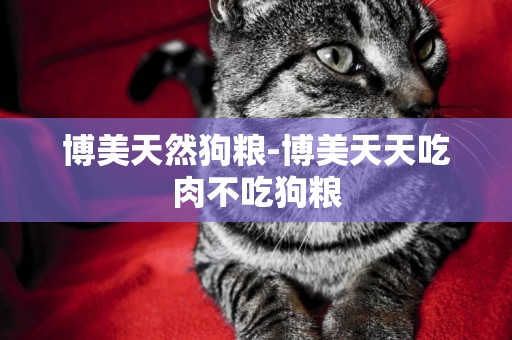 博美天然狗糧-博美天天吃肉不吃狗糧