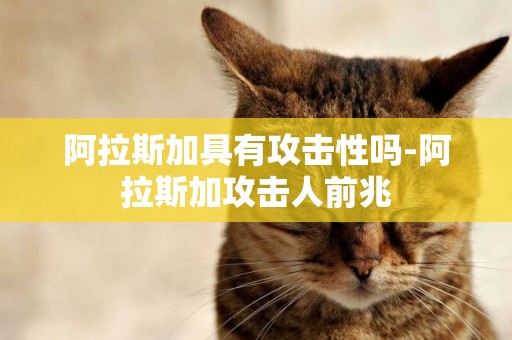 阿拉斯加具有攻擊性嗎-阿拉斯加攻擊人前兆