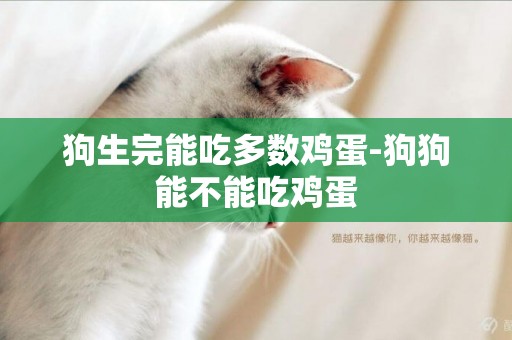 狗生完能吃多數雞蛋-狗狗能不能吃雞蛋