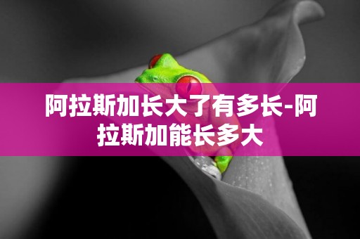 阿拉斯加長大了有多長-阿拉斯加能長多大