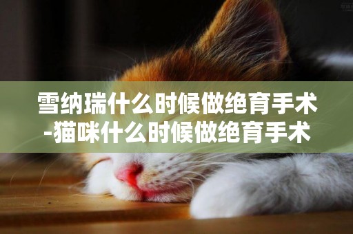 雪納瑞什么時候做絕育手術-貓咪什么時候做絕育手術