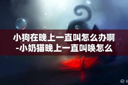 小狗在晚上一直叫怎么辦啊-小奶貓晚上一直叫喚怎么辦