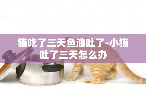 貓吃了三天魚油吐了-小貓吐了三天怎么辦