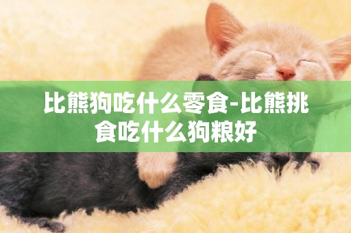 比熊狗吃什么零食-比熊挑食吃什么狗糧好