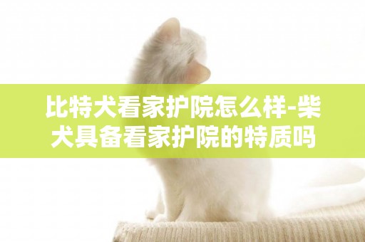 比特犬看家護院怎么樣-柴犬具備看家護院的特質嗎