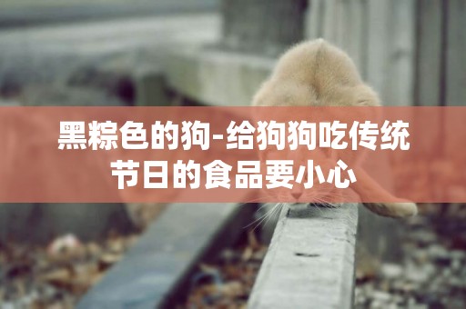 黑粽色的狗-給狗狗吃傳統節日的食品要小心