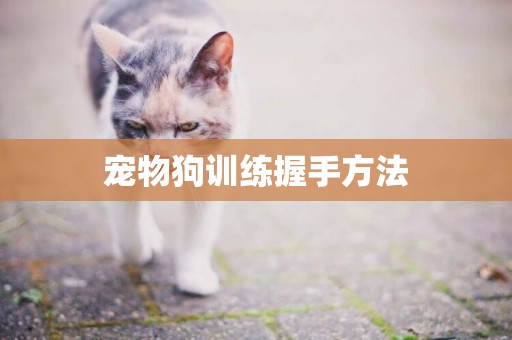 寵物狗訓練握手方法