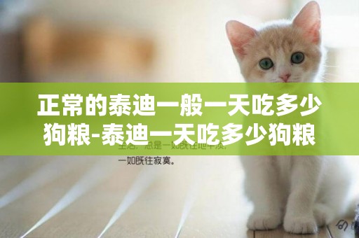 正常的泰迪一般一天吃多少狗糧-泰迪一天吃多少狗糧好