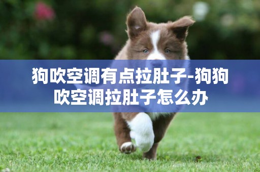 狗吹空調有點拉肚子-狗狗吹空調拉肚子怎么辦