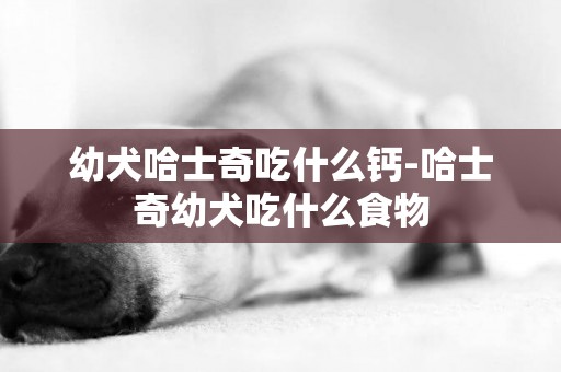 幼犬哈士奇吃什么鈣-哈士奇幼犬吃什么食物