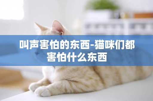 叫聲害怕的東西-貓咪們都害怕什么東西